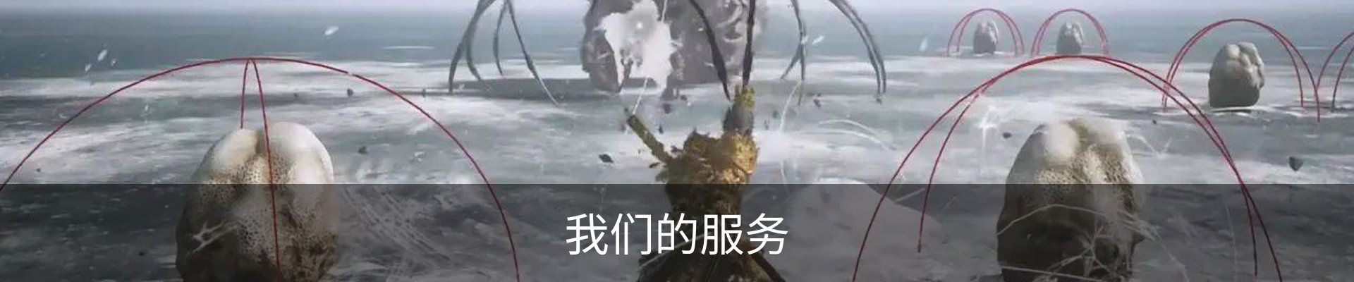 我们的服务